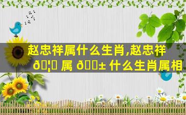赵忠祥属什么生肖,赵忠祥 🦆 属 🐱 什么生肖属相